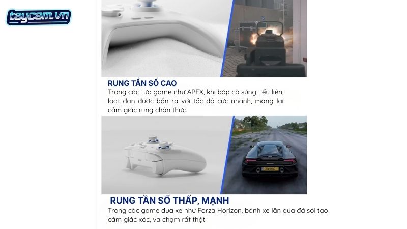 flydigi direwolf 4 thuat toan rung da tan so gaming