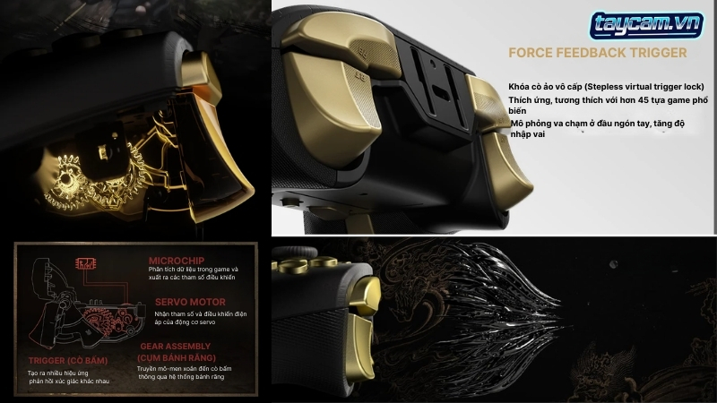 trigger phan hoi luc co hoc apex 4