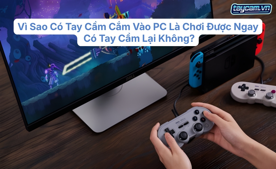 Vì Sao Có Tay Cầm Cắm Vào PC Là Chơi Được Ngay, Có Tay Cầm Lại Không?